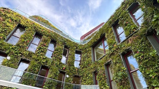 Groene gevel renovatie met verticale beplanting op een modern gebouw met geïntegreerde vegetatie.